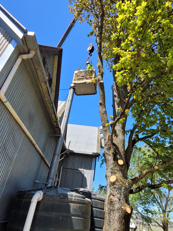 close side view of crane with basket and arm extended over two story tin shed winery with worker repairing cowl